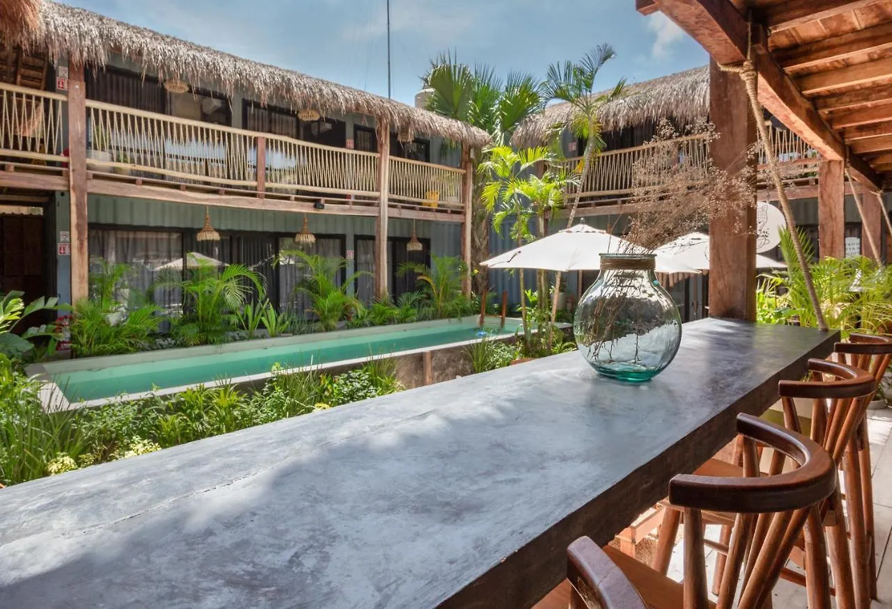 Meteora Stay & Coffeehouse Tulum Ostello