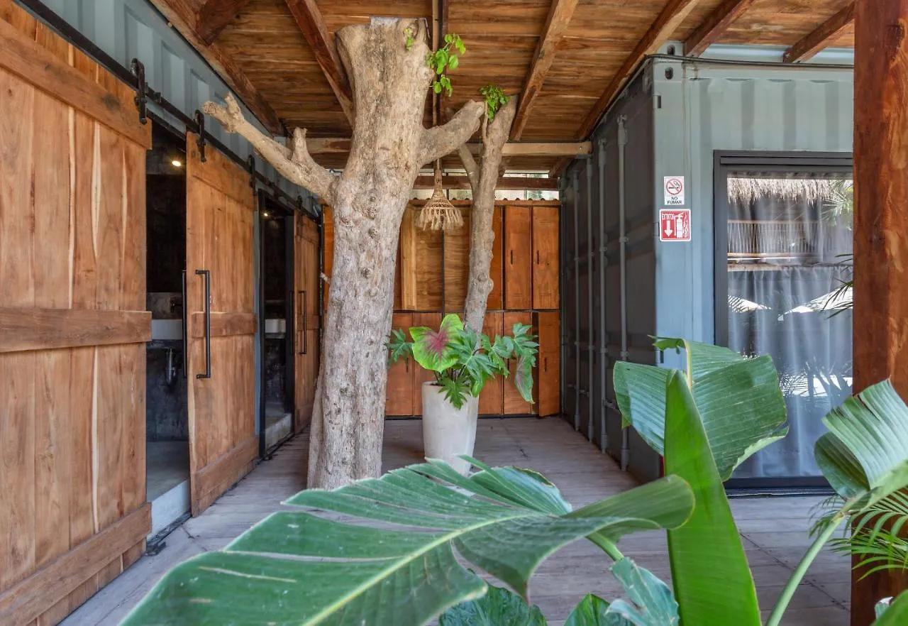 Hostel Meteora Stay & Coffeehouse Tulum