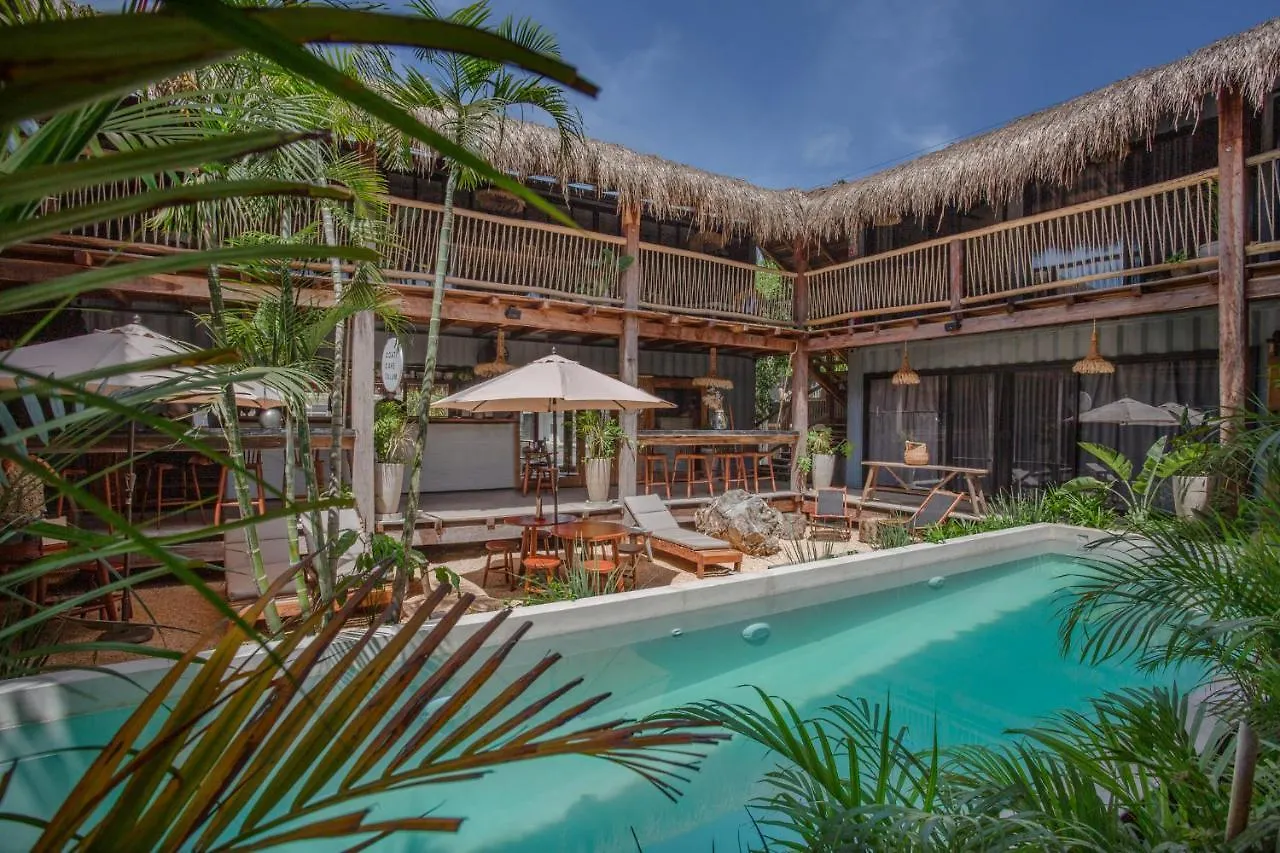 Meteora Stay & Coffeehouse Tulum Hostel