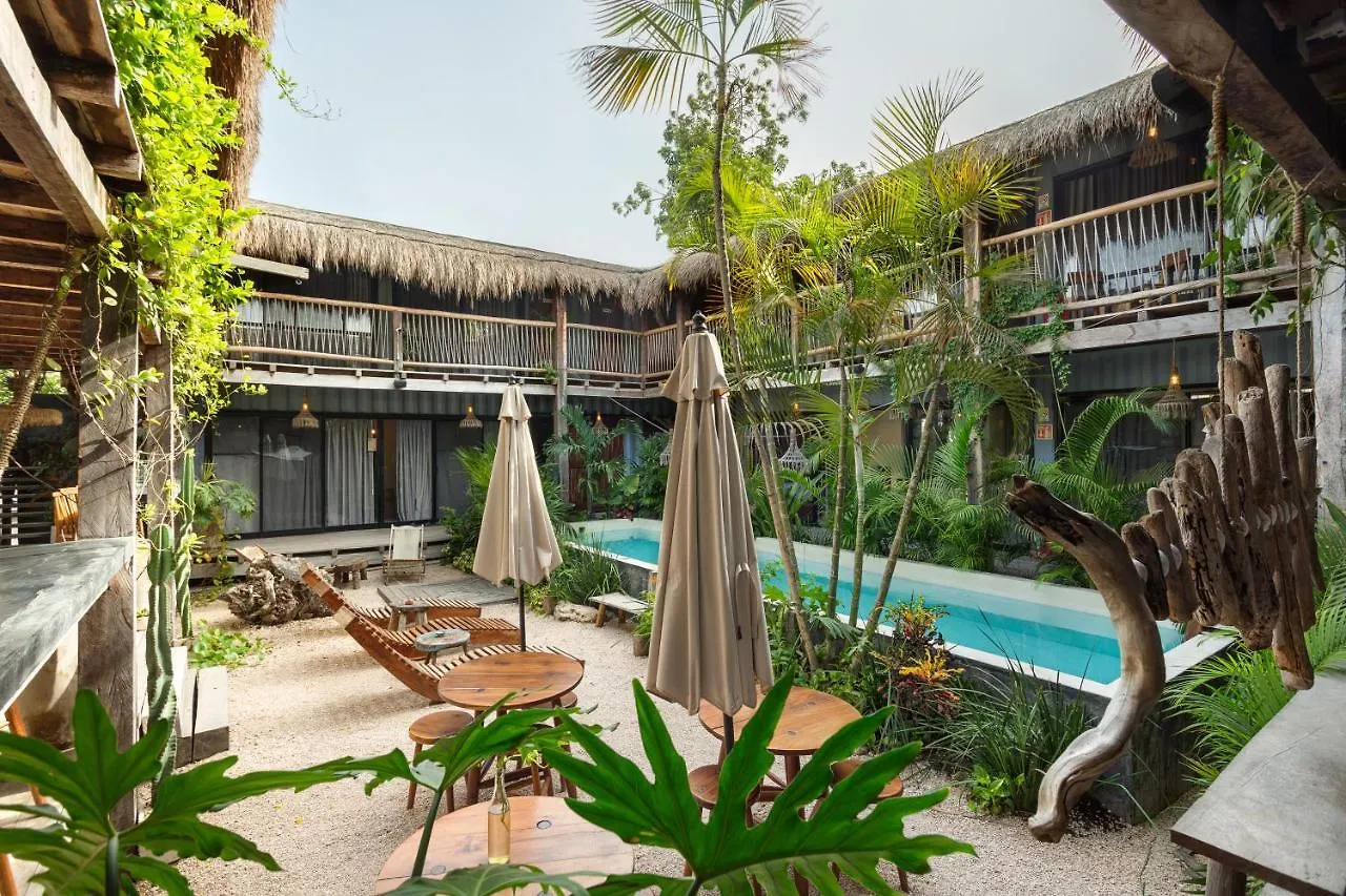 Hostel Meteora Stay & Coffeehouse Tulum Mexico