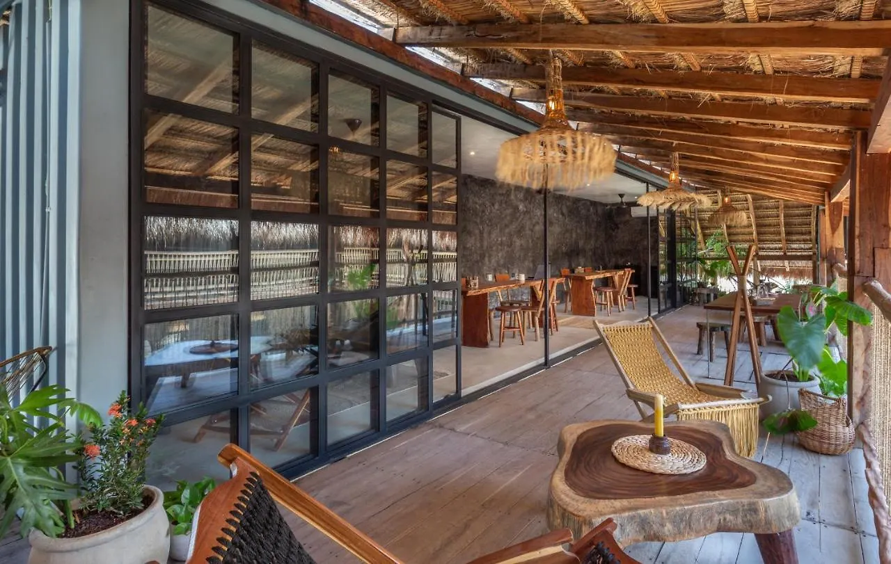 Meteora Stay & Coffeehouse Tulum Albergue