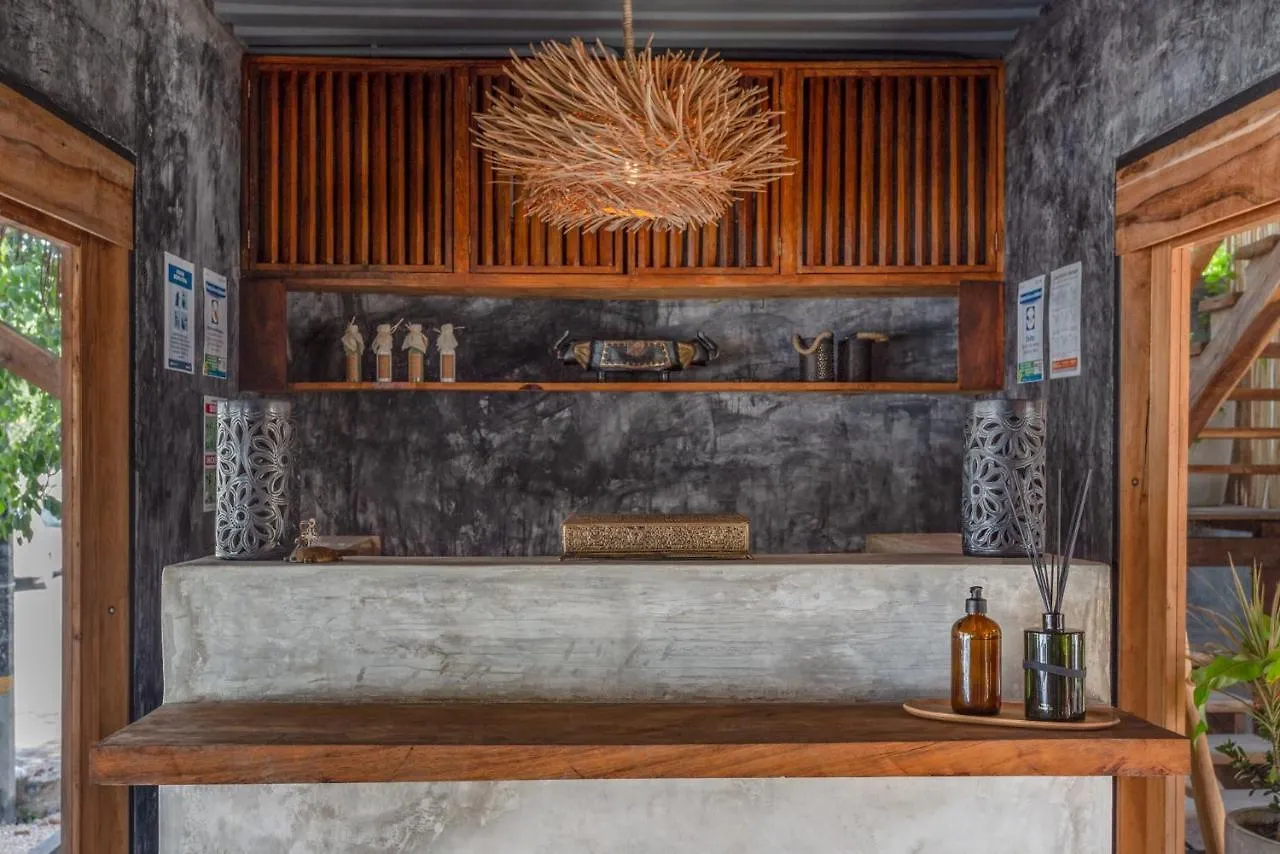 Albergue Meteora Stay & Coffeehouse Tulum México