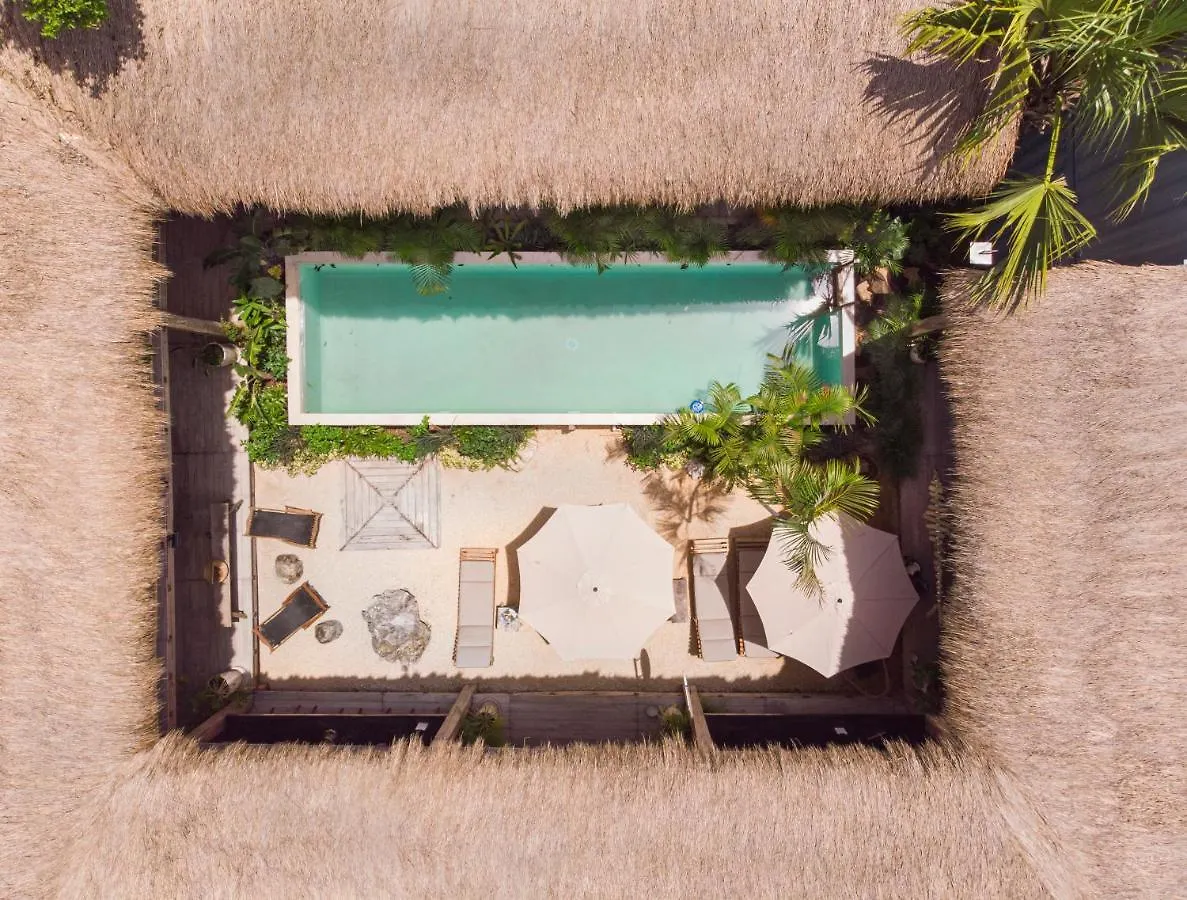 Meteora Stay & Coffeehouse Tulum